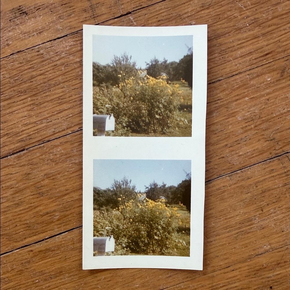 Vintage Photo Collection - Picture 6 of 11